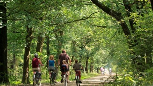 Fietstocht-Bloem-van-Weert