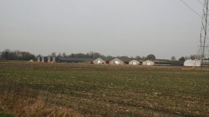 Focusgroep-gesprekken-over-veehouderij