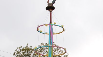 Folklorische-Meiboom-Eynderhoof Folklorische-Meiboom-Eynderhoof
