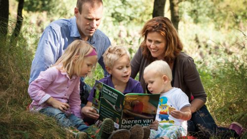 Serge&Angelique Dierick
Middelstestraat 10
6004BK Weert
0495-537717 06-13260099