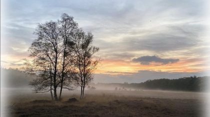 Frans-Akkerman-ROUWADVERTENTIE