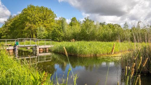 Gebiedsvisie-Weerterbos-Laarderheide-Aanpak-Oude-Graaf-2024 Gebiedsvisie-Weerterbos-Laarderheide-Aanpak-Oude-Graaf-2024