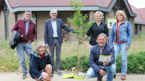 Geboorteboompje-Bijzzzaak-gemeente-nederweert-1