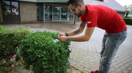 Geldboom-gemeentehuis-Nederweert-1