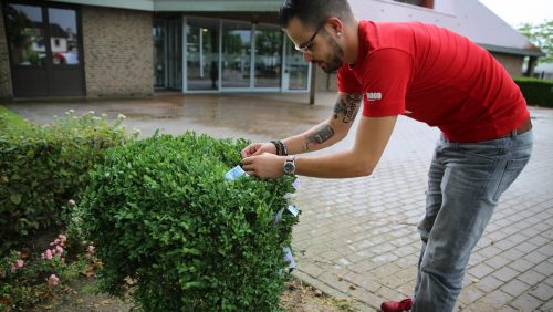 Geldboom-gemeentehuis-Nederweert-1