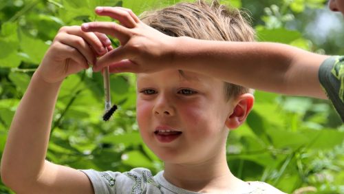 Geniet-van-de-zomer-bij-buitencentrum-De-Pelen