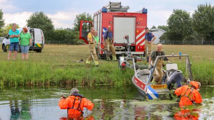 Gewonde-zwaan-Weert-Ringbaan-Noord-7