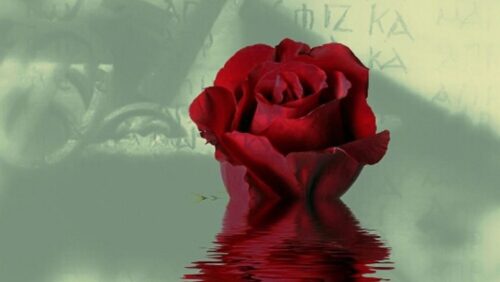 Griekse-tragedie-op-het-College-in-Weert