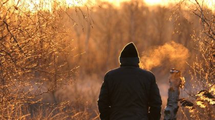 Groene-Voornemenswandeling-in-De-Groote-Peel