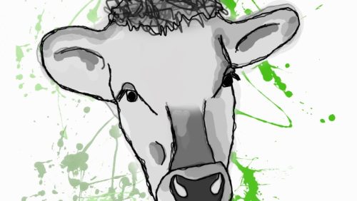 Groene-kalf-Filmfestival-2015