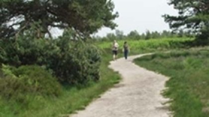 Groote_Peel_wandelaars