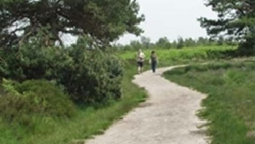 Groote_Peel_wandelaars