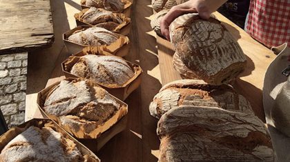 Heel-Ospel-bakt-molen-korenbloem-150-jaar