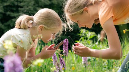 Heel-Weert-Observeert-2