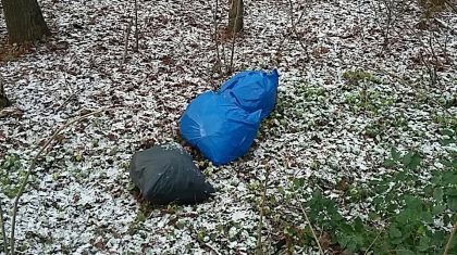 Hennep-Nederweert-dump