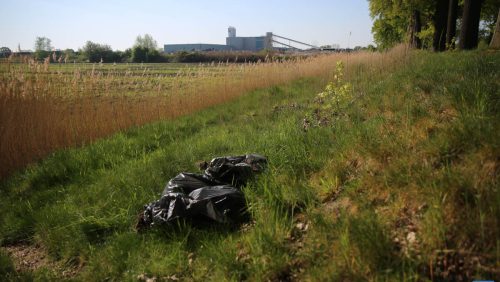 Hennep-bij-Kanaaldijk-Nederweert-5158