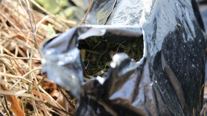 Hennep-in-Kanaal-Nederweert-3