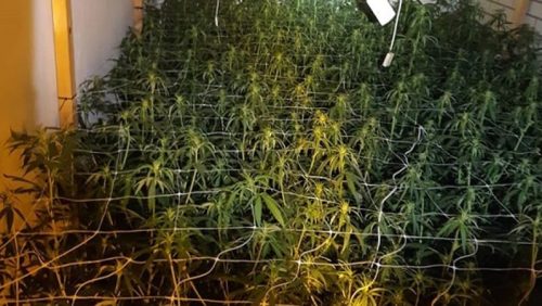 Hennep-in-huis-Nunhem-Roermond