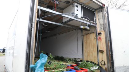 Hennep-in-vrachtwagen-en-oplegger-Beringe-1 Hennep-in-vrachtwagen-en-oplegger-Beringe-1
