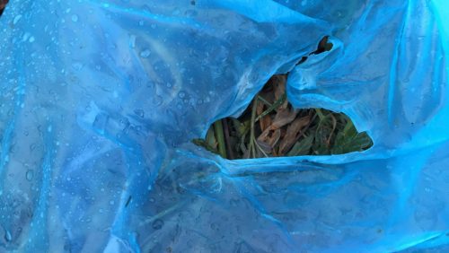 Hennepafval-Den-Akker-Nederweert-3