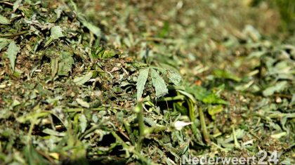 Hennepafval kanaal wessem nederweert