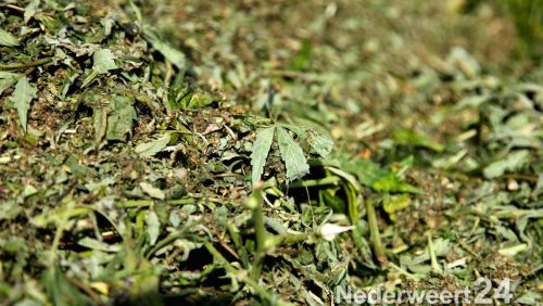 Hennepafval kanaal wessem nederweert