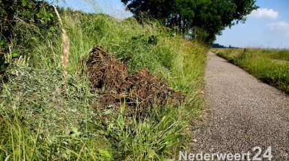 Hennepafval kanaal wessem nederweert