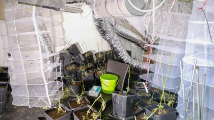 Hennepkwekerij-Kinsbergenstraat-Weert-7