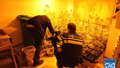 Hennepkwekerij Lambertushof Nederweert