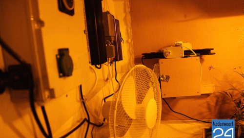 Hennepkwekerij Lambertushof Nederweert