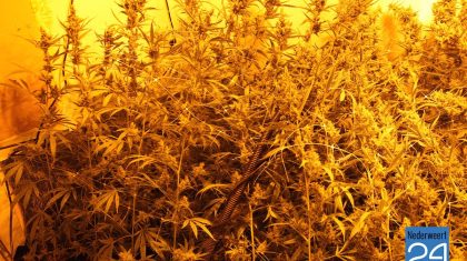 Hennepkwekerij Lambertushof Nederweert