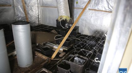 Hennepkwekerij-Ommelpad-Ospel-4369