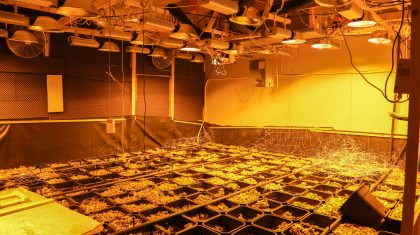 Hennepkwekerij-Onze-Lieve-Vrouwestraat-Ospel-1