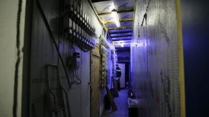 Hennepkwekerij-Weert-2