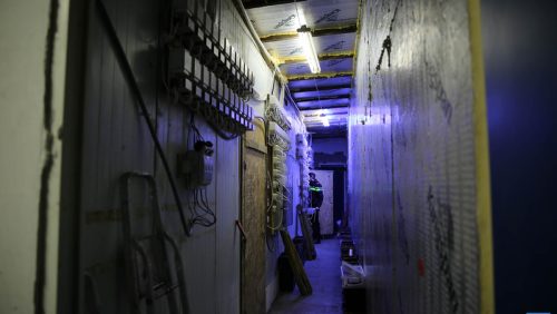 Hennepkwekerij-Weert-2