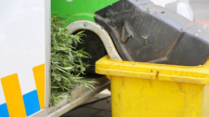 Hennepkwekerij-julianastraat-stramproy-4