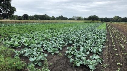 Herenboeren-Land-van-Weert