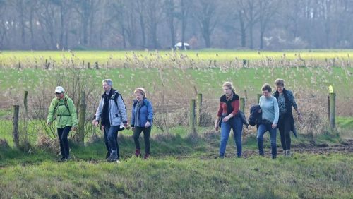 Herfstwandeling-2023-foto