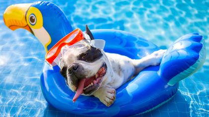 Foto: Patryk_Kosmider