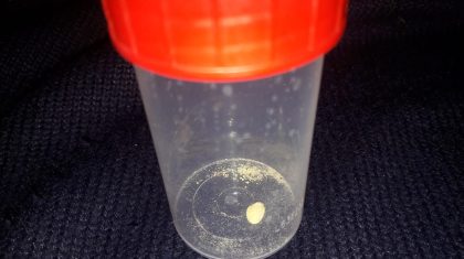 Hondje-slikt-pilletje-in-in-achtertuin-Rochushof