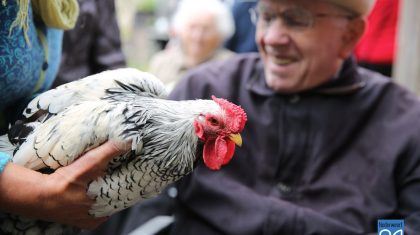 Huiskamer-Nederweert-knuffelt-met-dieren-op-Citaverde-6702