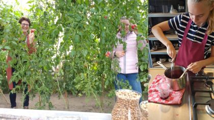 ImpactprijsGroenOnderwijs