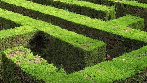 Informatieavond-Whiplash