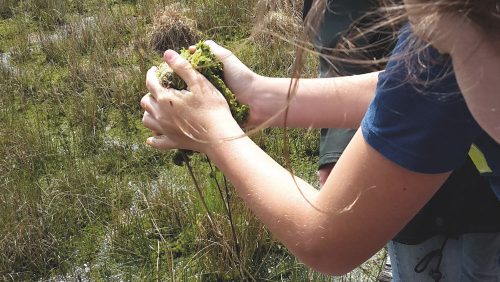 Junior-Rangers-NPDGP-©IVN-Limburg