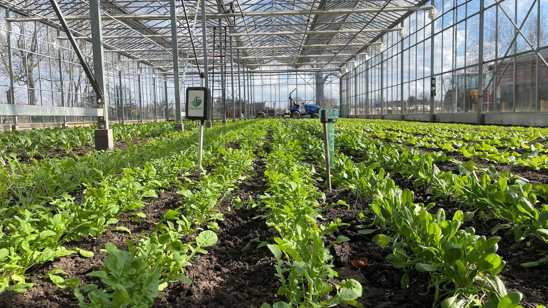 Kas-met-voorjaarsgroenten