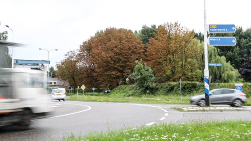 Kastanjemineermot-Nederweert-1