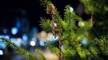 Kerst-kerstmis-kerstboom-Johan-Horst-1 Kerst-kerstmis-kerstboom-Johan-Horst-1