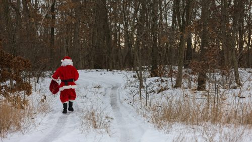 Foto | photovs - depositphotos.com