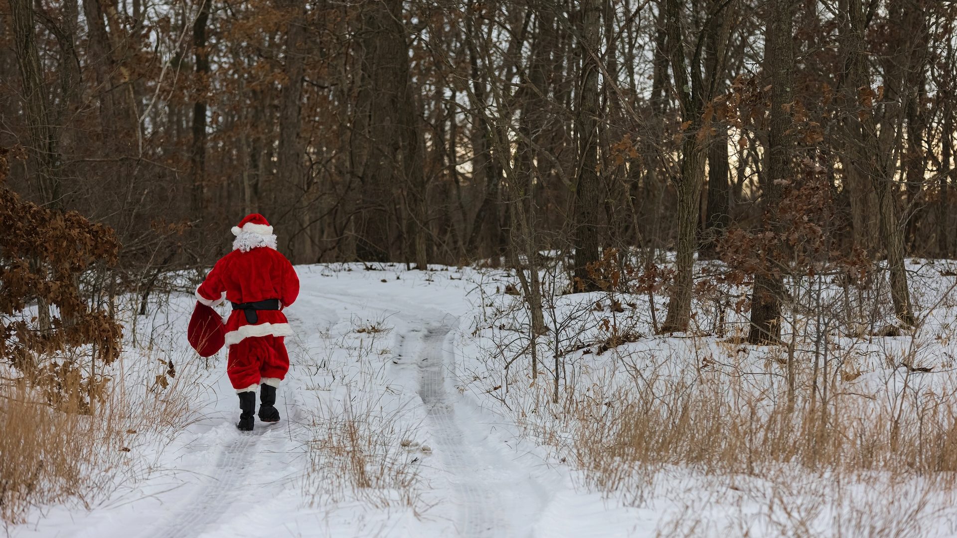 Foto | photovs - depositphotos.com