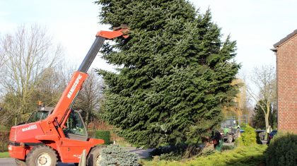 Kerstboom-voor-Eynderhoof-002